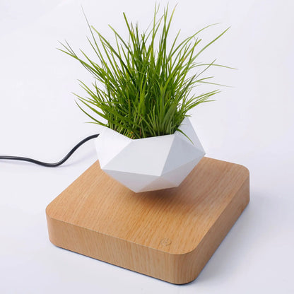 Levitating Plant Pot