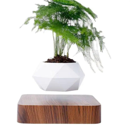 Levitating Plant Pot