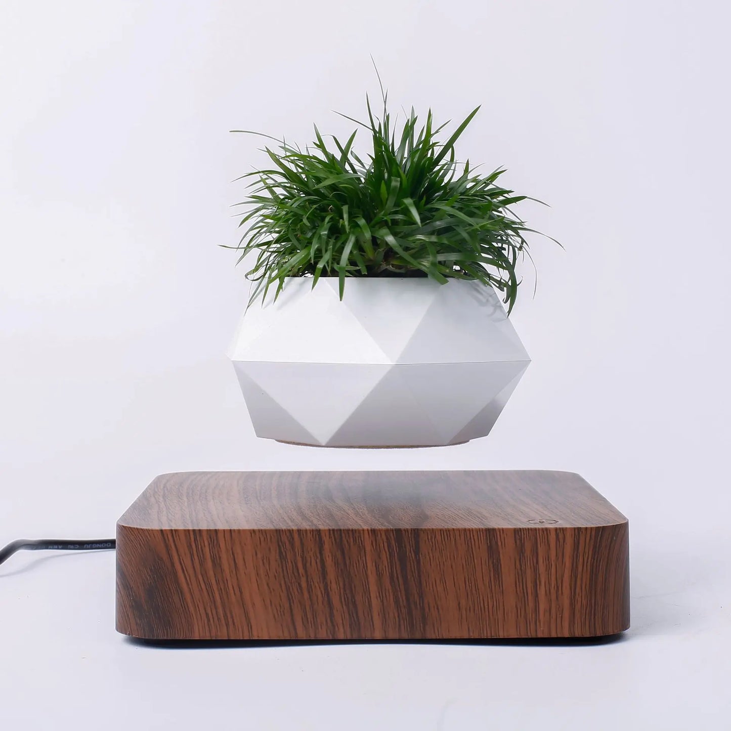 Levitating Plant Pot