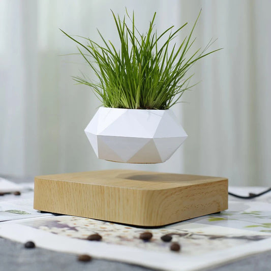 Levitating Plant Pot